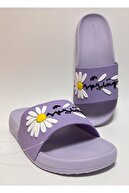PURPLE CHAMOMILE