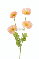 گل مصنوعی 4 عدد شاخه خشخاش 60 سانت ماهی قزل آلا-thumb