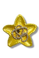 SARI
