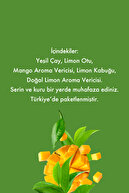 16 بسته چای سبز انبه چای گیاهی و میوه ای 2 بسته با هم-thumb