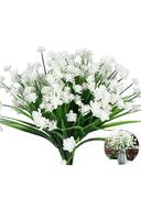 white 6x