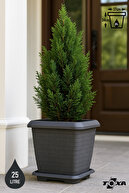 25.5Lt ANTHRACITE
