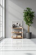 Atlantik Pine BD