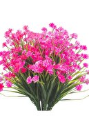 pink 6x