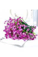 purple 6x