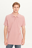 Dusty Rose-MW211837532