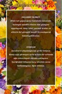 دستمال ادکلن مخلوط 160s: تازه کردن با 10 رایحه مختلف (پودر اقیانوس صندل اسطوخودوس لیمو-thumb