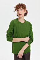K. Algae