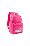 PhPM-13