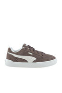 Flat Bronze-Alpine Snow