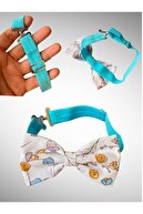 Bow tie