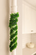 Basil