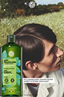 شامپو تسکین دهنده پری بیوتیک-ضد شوره/ضد پلیکولر-SLS، بدون SLES، بدون نمک، وگان-300 میلی لیتر-thumb