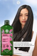 شامپو محافظ رنگ - موهای رنگ شده / کولور - فاقد SLS، SLES، Vegan - 300 میلی لیتر-thumb