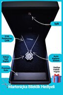 Silver-Light Premium Box