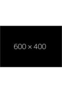 دئودورانت استیک محافظ بالینی مردانه محافظ فعال تازه تا 96 ساعت 45 میلی لیتر X2 قطعات-thumb