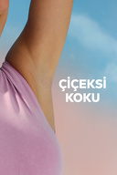 رول دئودورانت زنانه مروارید و زیبایی 50 میلی لیتر، محافظ 72 ساعته ضد تعریق، زیر بغل صاف-thumb