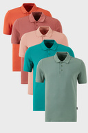 Cinnamon-Powder-Benetton-Rose-Apple Green