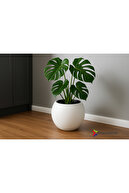 گلدان گل گل گلدان گلدان گلدان اتاق تزئینی مدرن 27 لیتر رنگ سفید-thumb