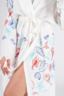 SEASHELL