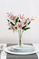 Fuchsia Striped