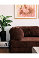 تخت خواب مبل را آرام کنید که می تواند یک بستر فعالیت باشد-thumb