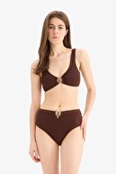 Brown-BN341