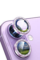 Lavender with Stones