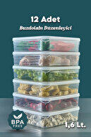 12 Pcs 1.6 Lt.