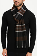 Brown - navy blue stripes