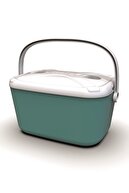 Turquoise (color)