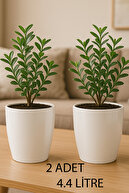2 Pieces No3 White