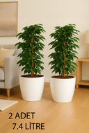 2 Pieces No4 White