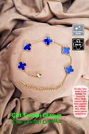 Navy BlueGold-2