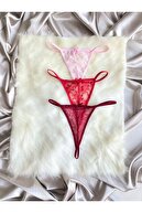 PINK/RED/BURGUNDY