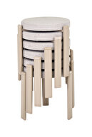 Teddy Beige 6