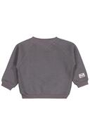 Anthracite Grey