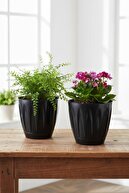 ANTHRACITE 2 PIECES