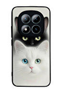 Cat3G1