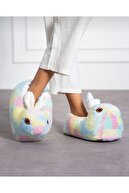 Multicolor1