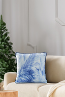 Blue/White