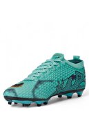 Sea Green Black Gold