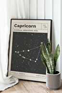 Capricorn