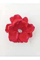 Apple Candy Red