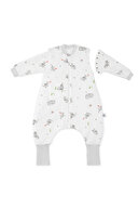 Gray-Dragons Pattern