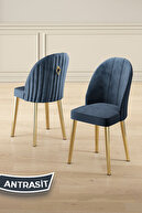 Anthracite Chair Gold Leg