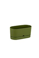 OIL GREEN