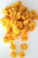 Dark Yellow