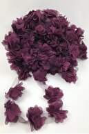 Damson