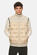 Beige Dark